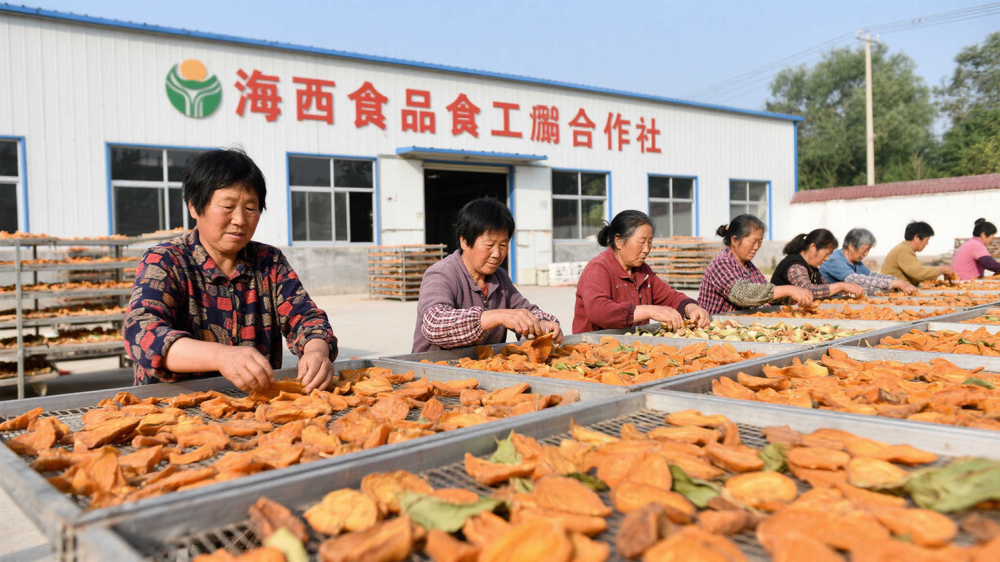 据了解，在临汾市，由财政资助创建的一家食